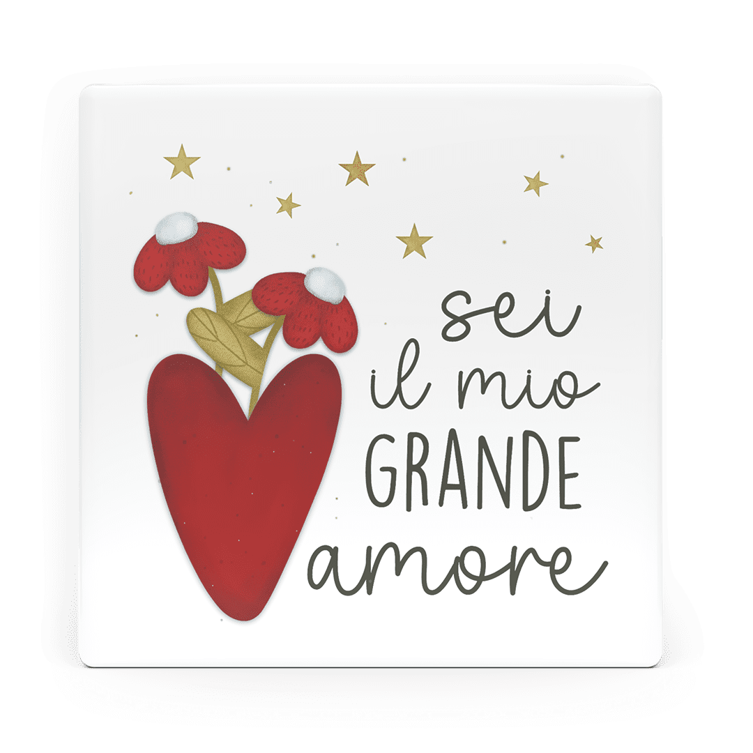 Calamita quadratas-sei il mio grande amore