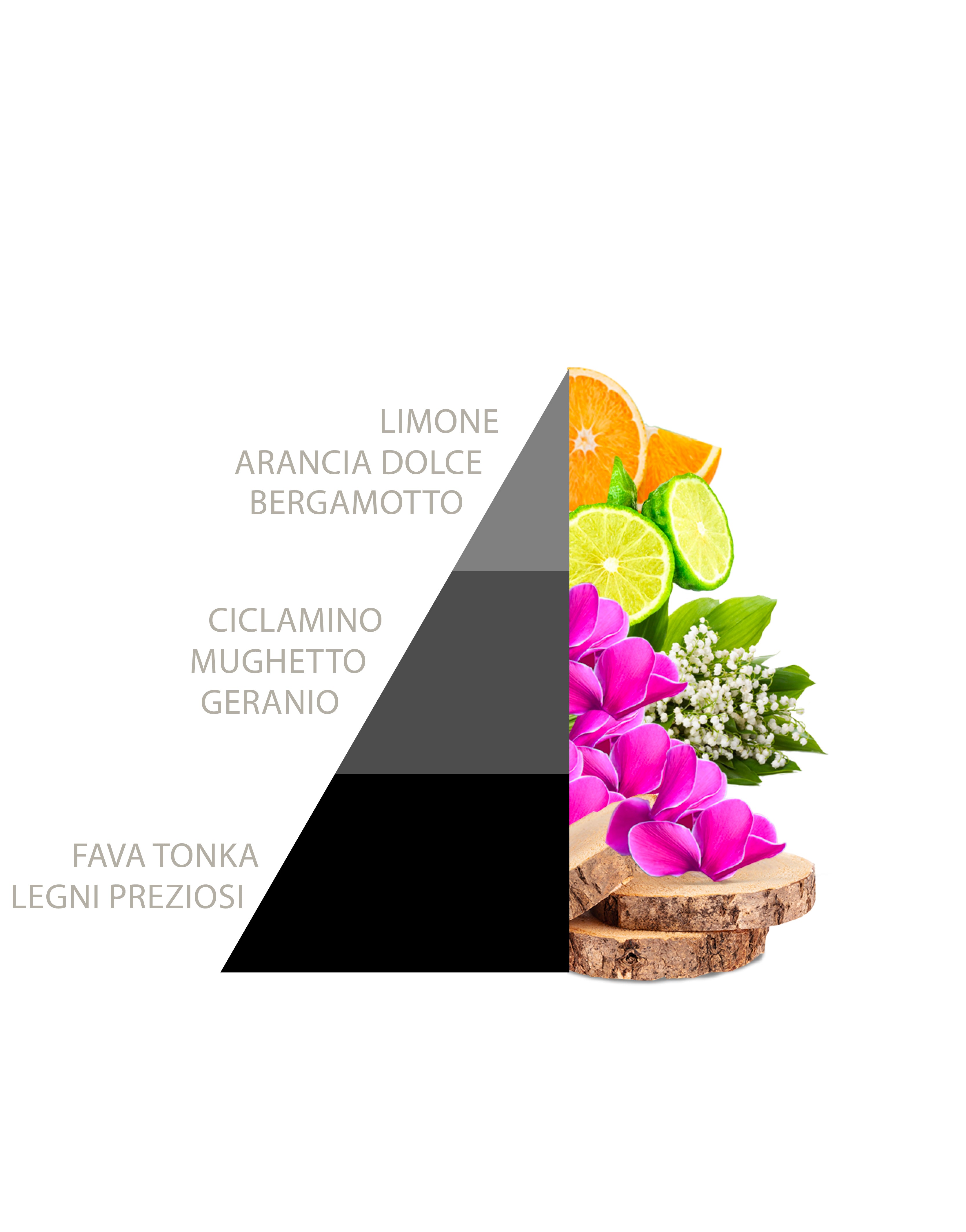 Profuma Bucato Liberty 500ml