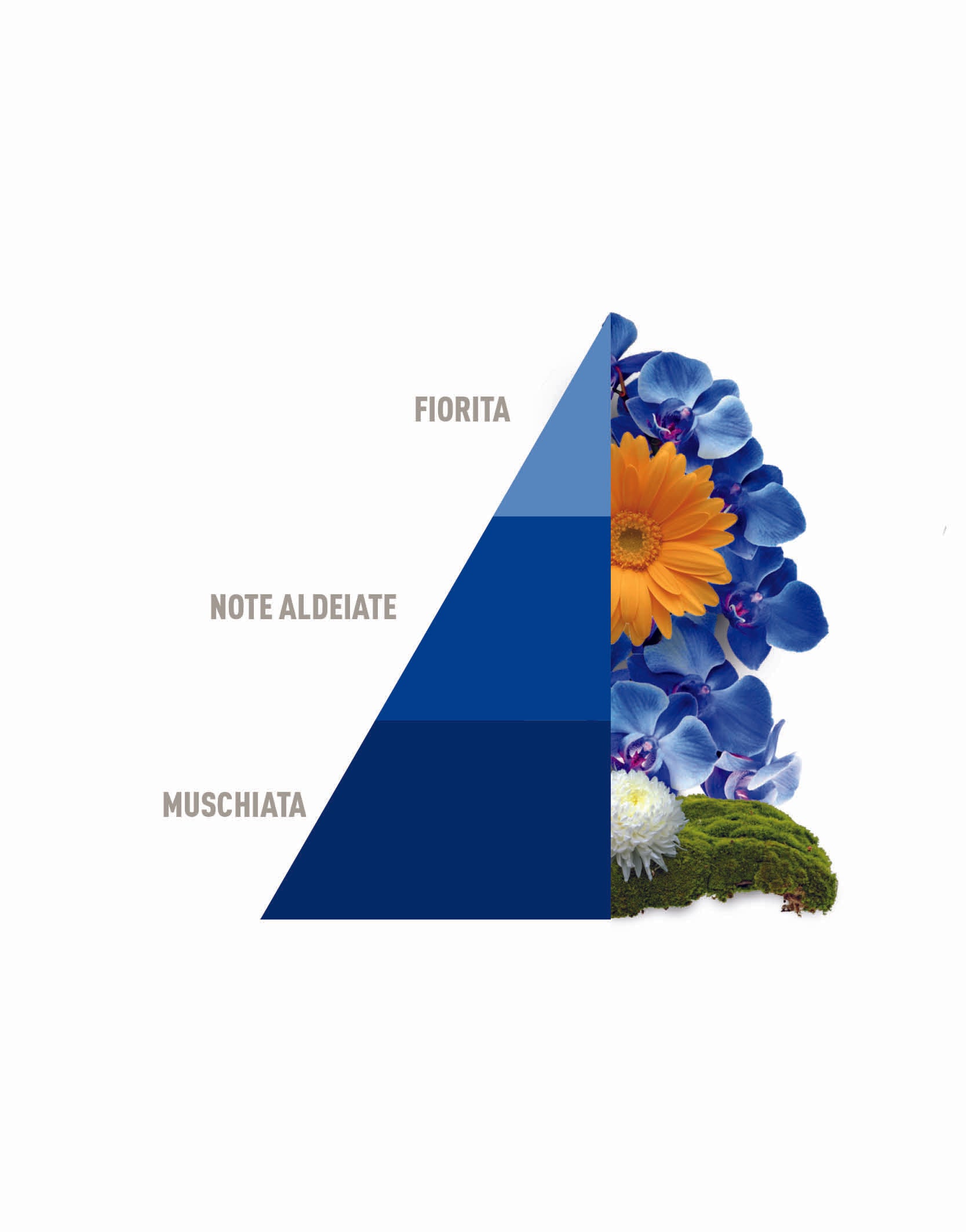 Profuma Bucato Blue 500ml