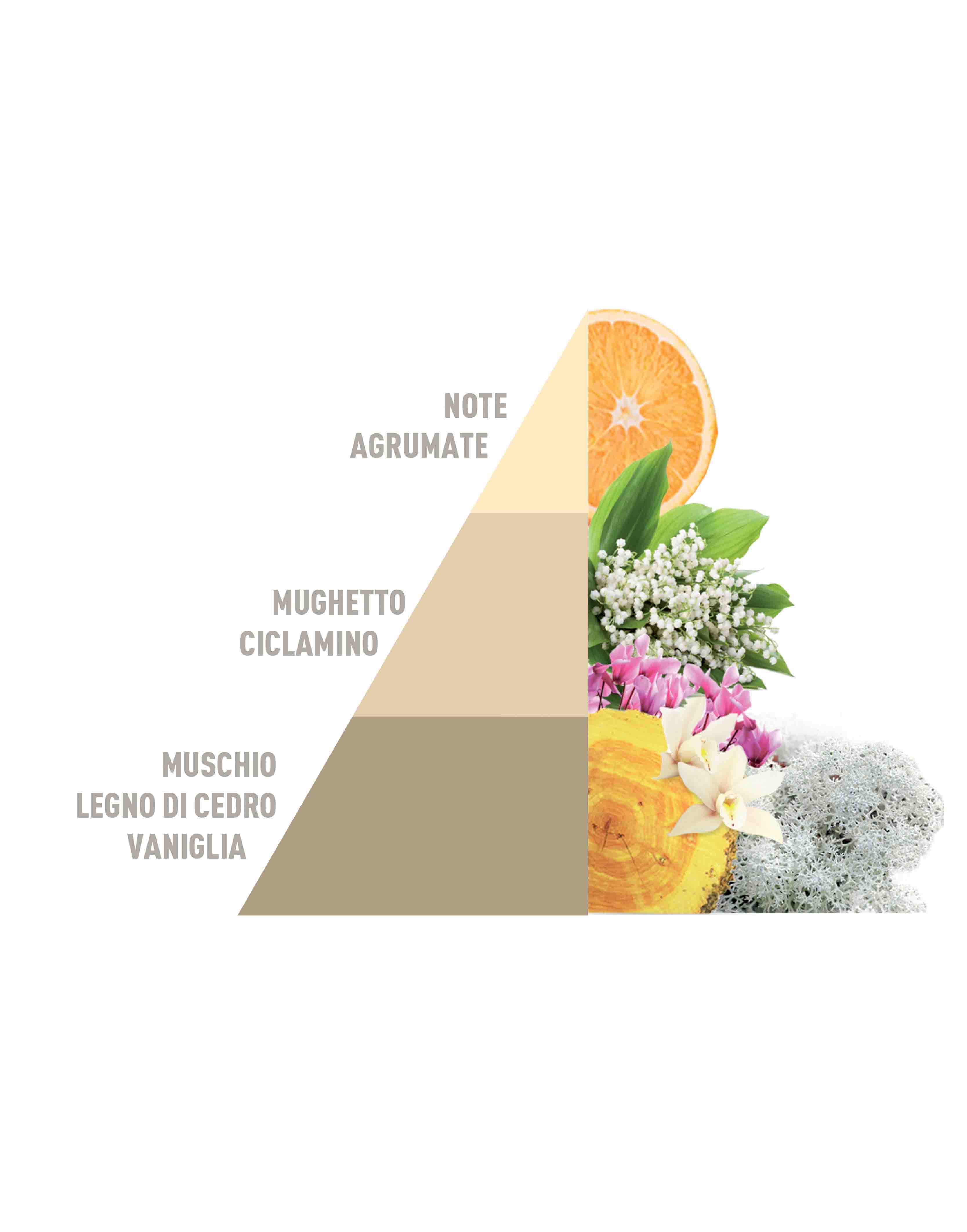 Sacchetti Profumati Multiuso Gold Argan