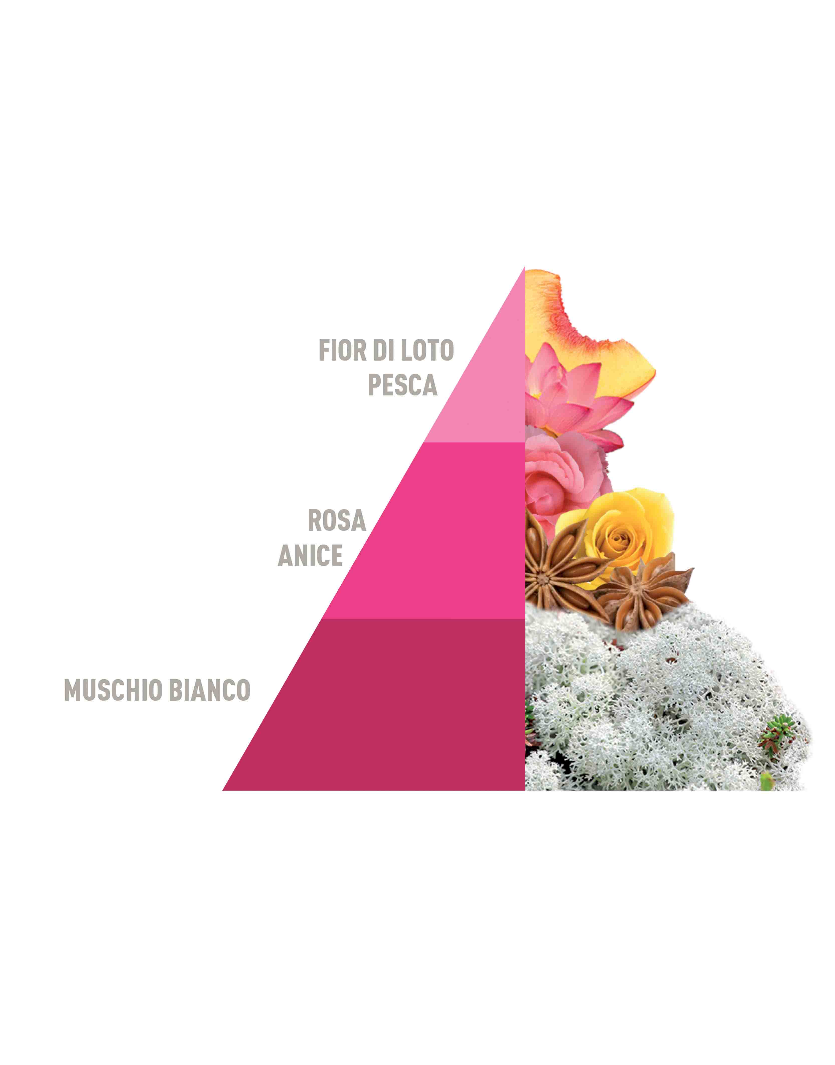 Profuma Bucato Muschi e loto 50ml