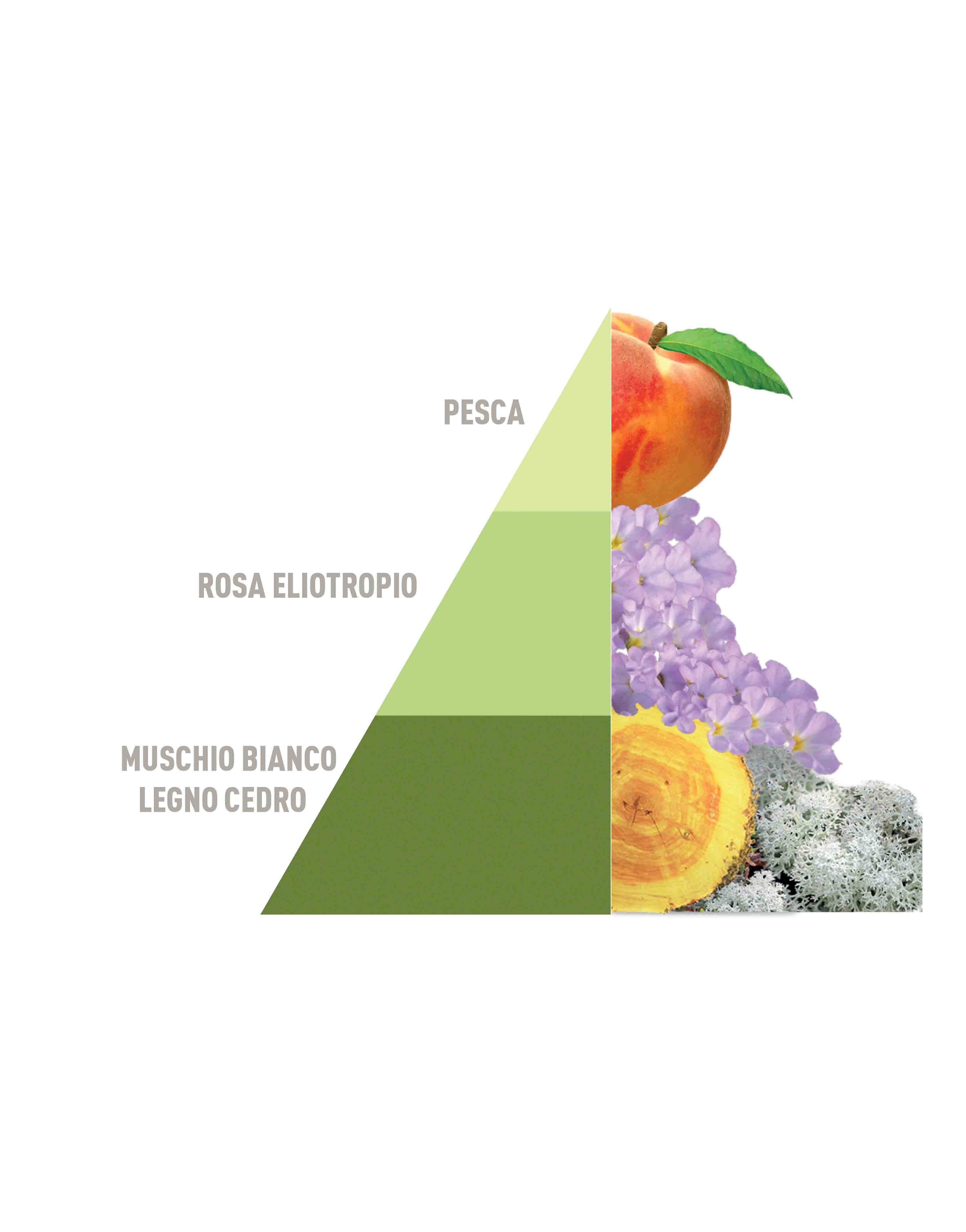 Profuma Bucato Musica del sole 500ml