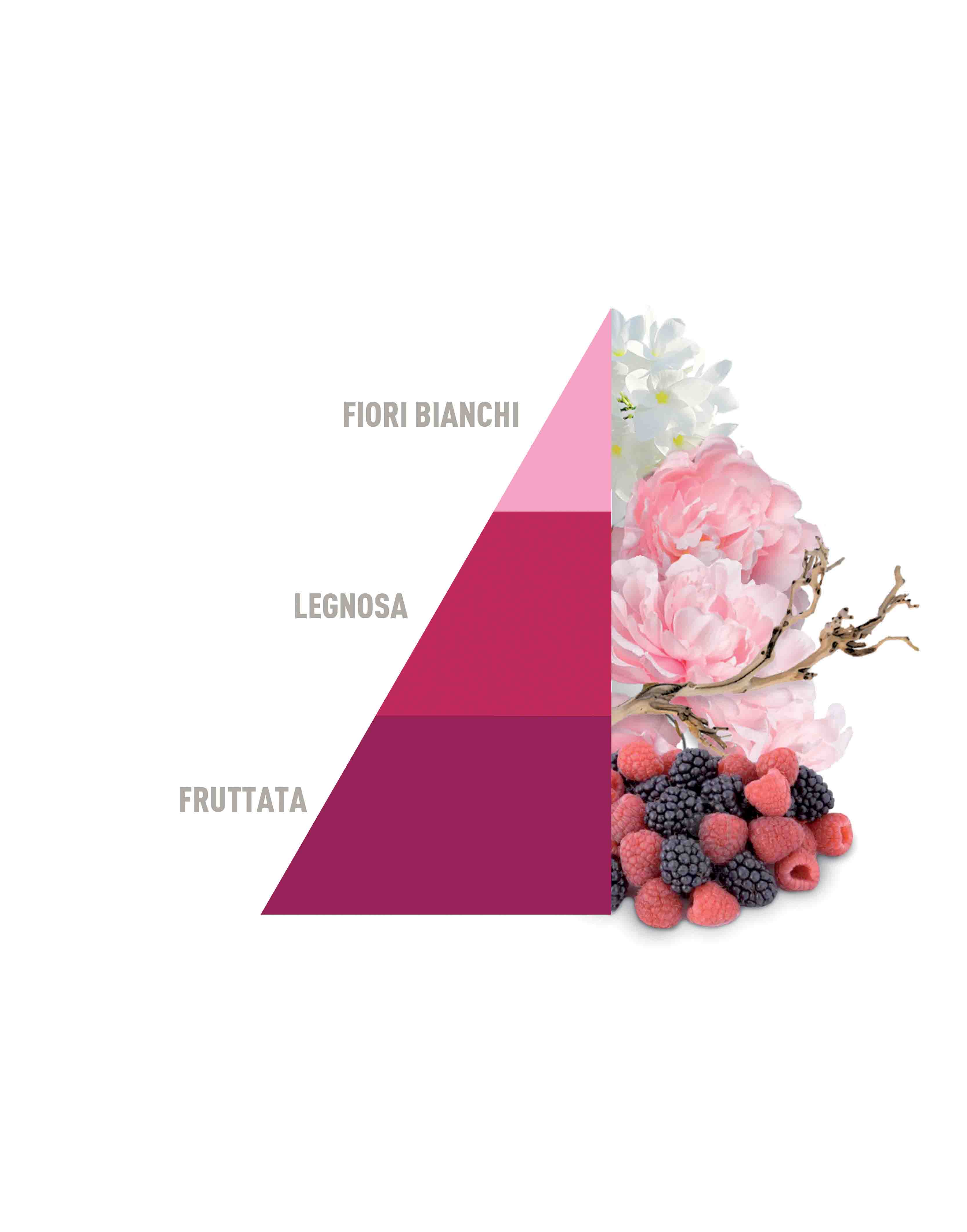 Profuma Bucato Petali di peonia 50ml