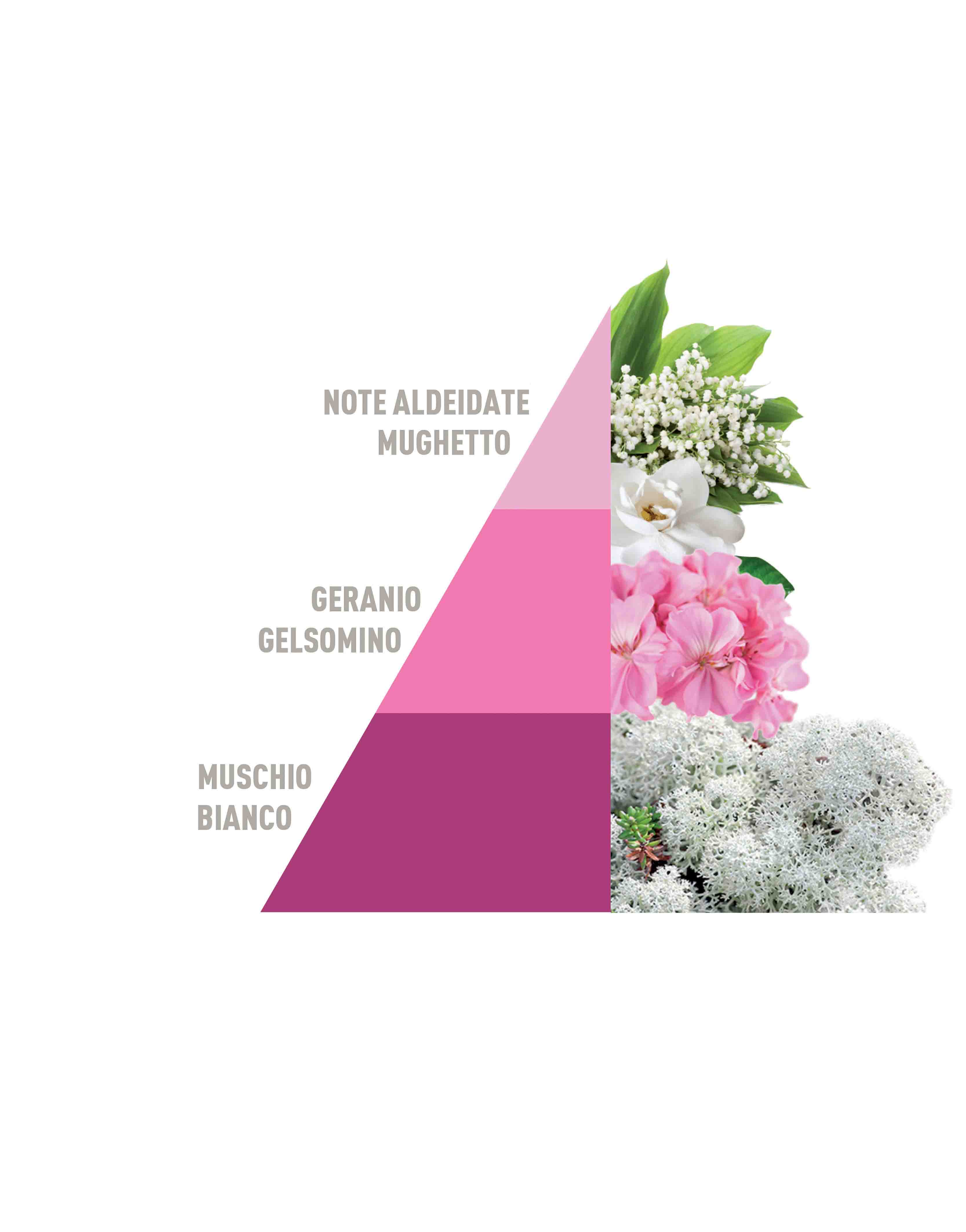 Profuma Bucato Soffice Talco 250ml