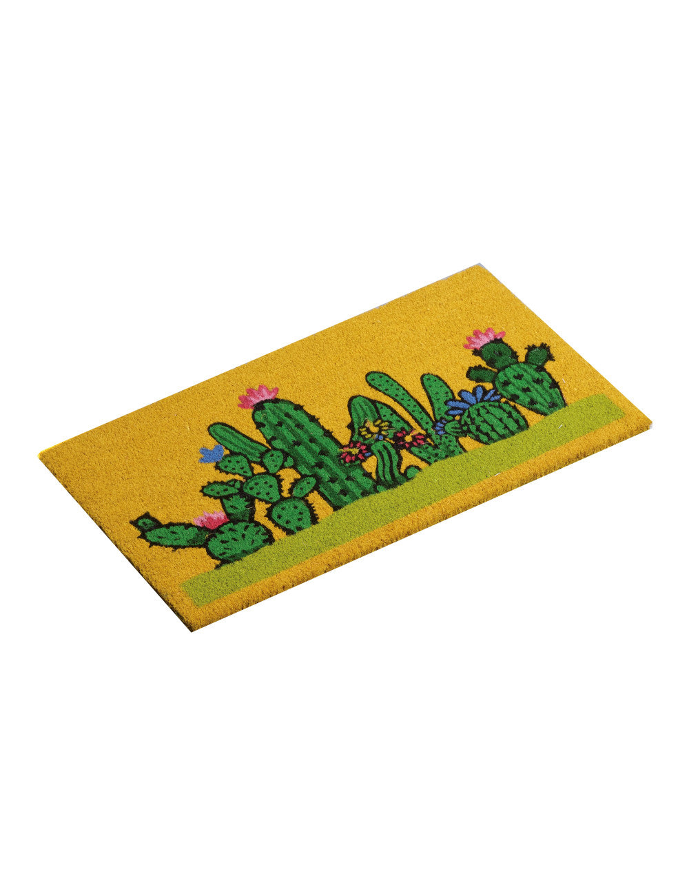 ZERBINO CACTUS BRANDANI