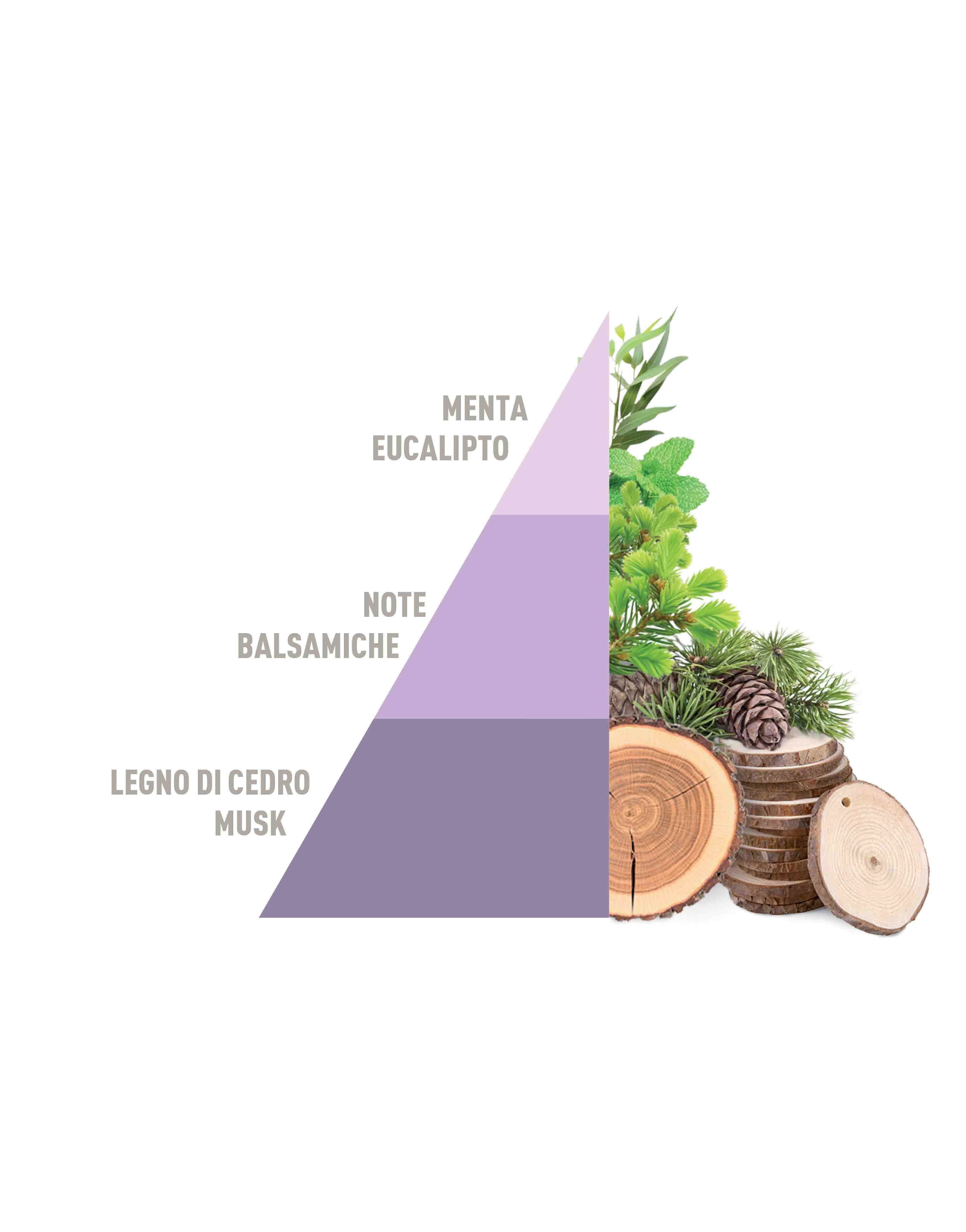 Sacchetti Profumati Multiuso Brezza di Primavera