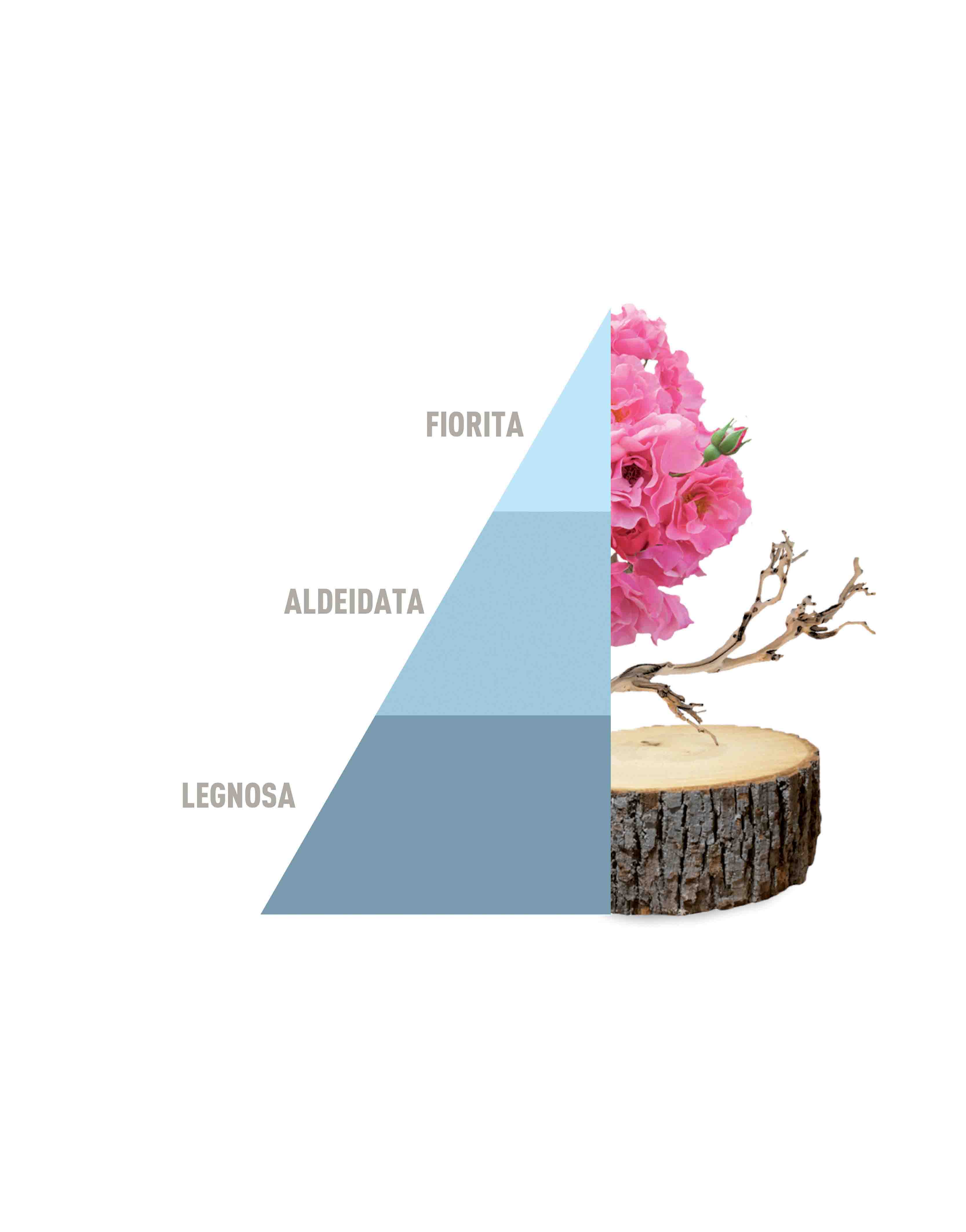 Profuma Bucato Fresh cotton 250ml