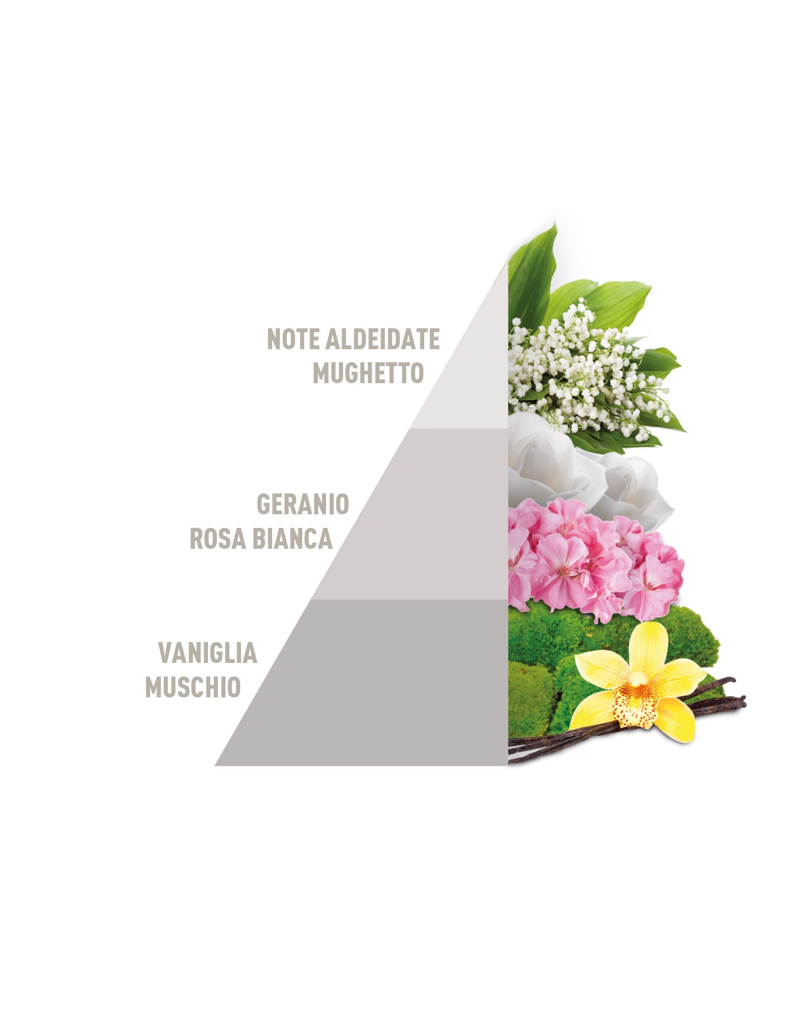 Profuma Bucato White 50ml