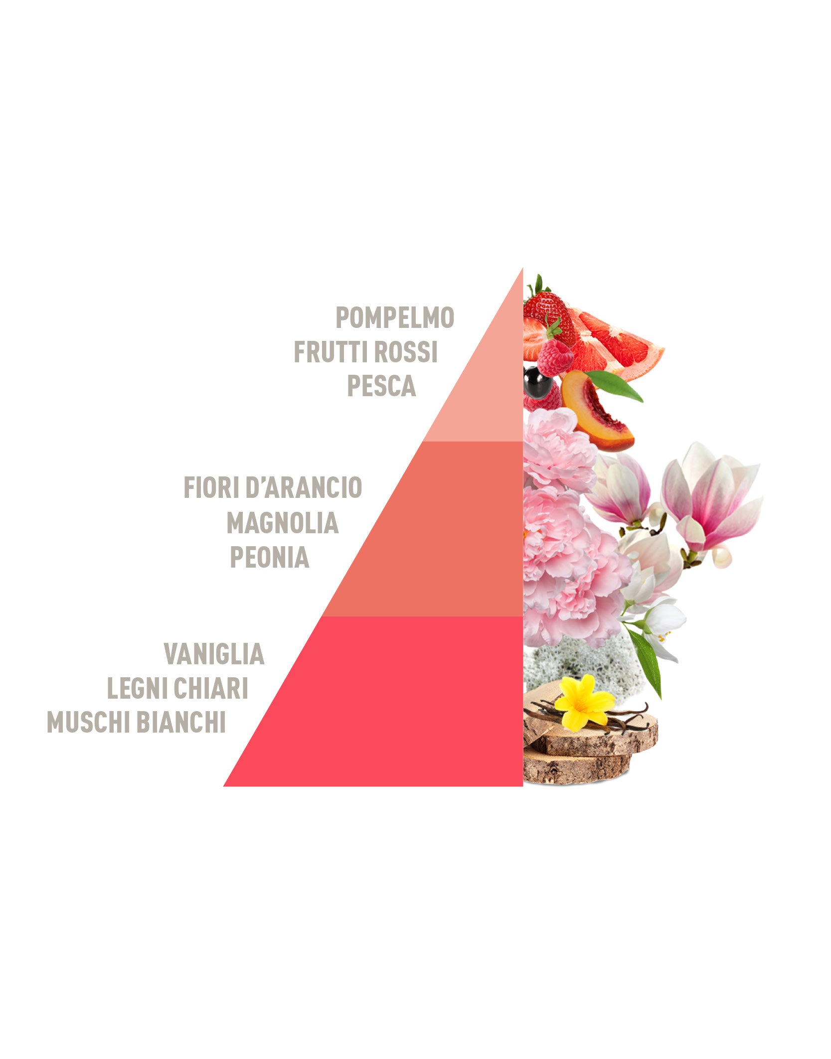 Profumo per Bucato Corallo 500 ml